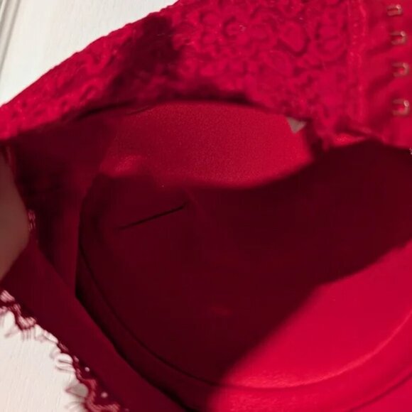 NEW Aerie | Real Power Plunge Push Up Eyelash Lace Bra In Red - Picture 8 of 11
